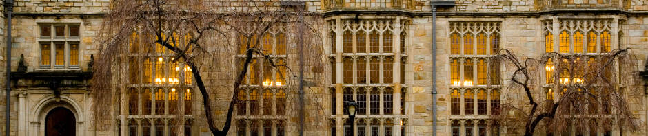 gothic steel windows in educational institution